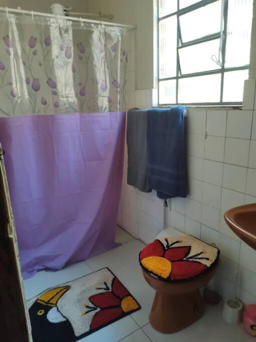 Refugio Dos Viajantes Apartman Piraí Kültér fotó